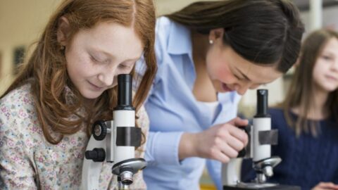 The Magic of Microscopy (1)