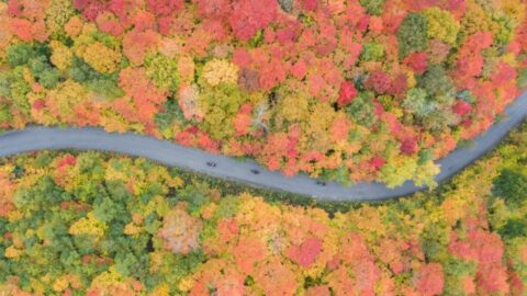 birds eye view of road