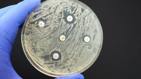 ni science Join the Great CART Citizen Science Project